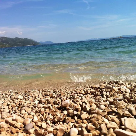 Mara أوروبيتش