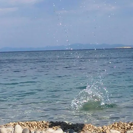 Mara * أوروبيتش